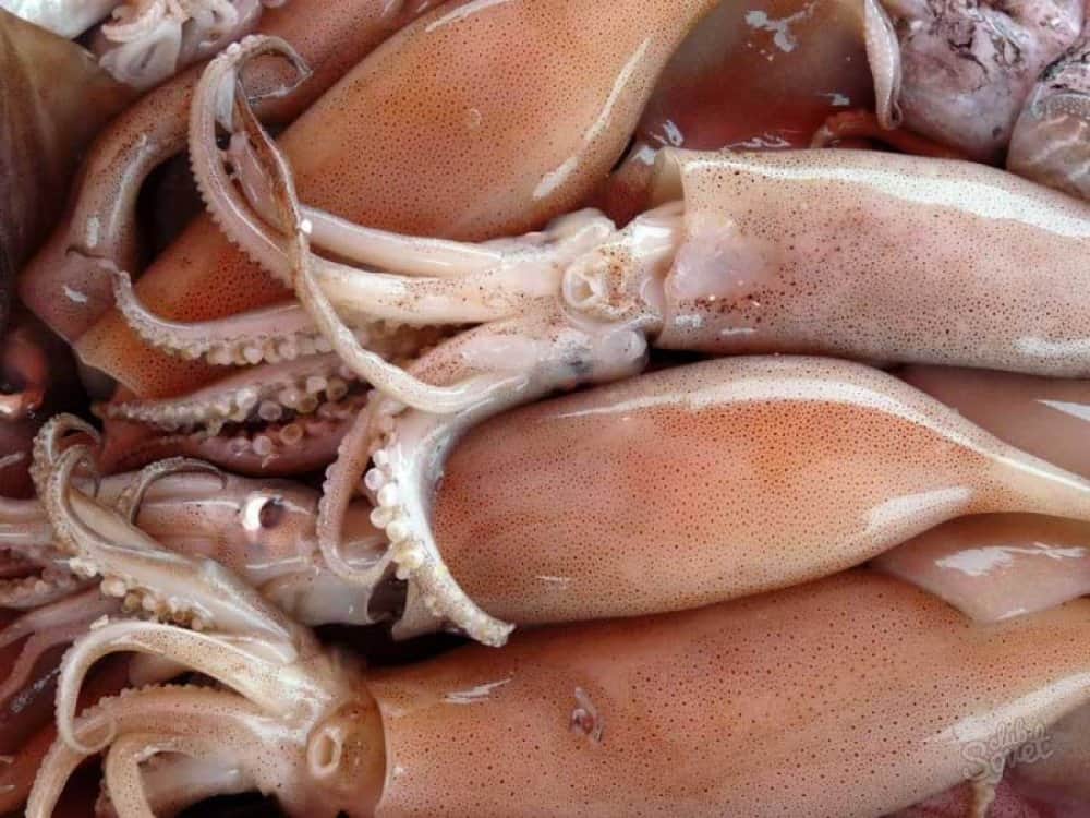Салат из кальмаров: полезное блюдо из морепродуктов 5 Салат из кальмаров: полезное блюдо из морепродуктов