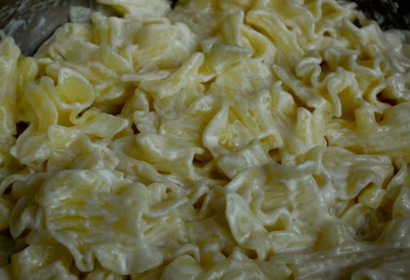 Лапша с творогом: готова Вас порадовать прекрасным вкусом 5 Лапша с творогом: готова Вас порадовать прекрасным вкусом