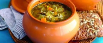 Монастырские щи: сытный суп с квашеной капустой 1