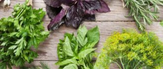 Зелёный холодный суп: вкусный и полезный перекус 9