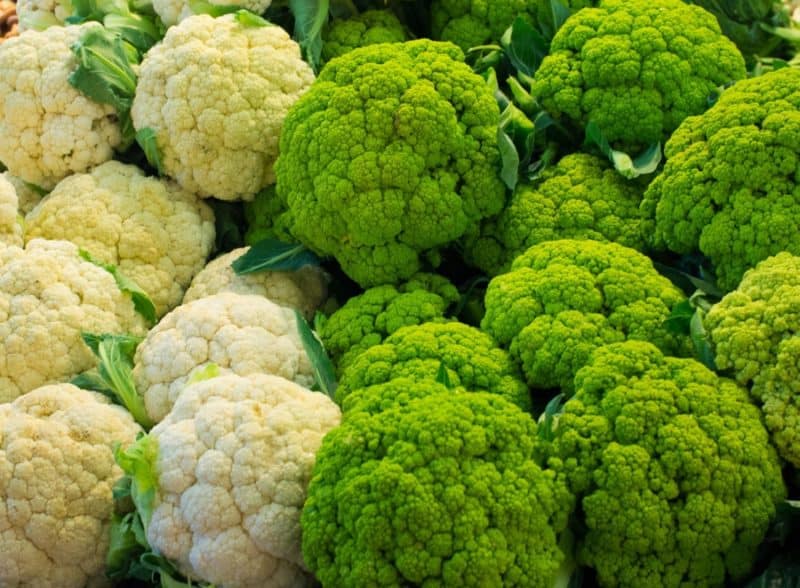 Несравненно Вкусная Цветная Капуста в Кляре На Сковороде 6 Несравненно Вкусная Цветная Капуста в Кляре На Сковороде