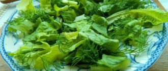 Черемша с яйцами: очень вкусный и пикантный салат 16