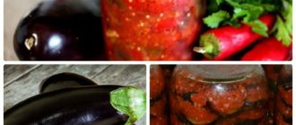 Заготовки из баклажанов на зиму: вкуснейшая закуска в зимнее время 7