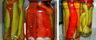 Маринованный острый перец на зиму 4