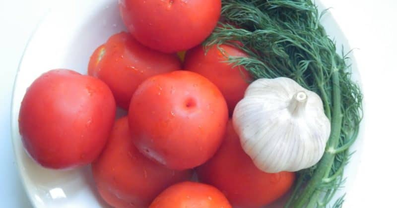 Помидоры фаршированные творогом: необычайно вкусная закуска 5 Помидоры фаршированные творогом: необычайно вкусная закуска