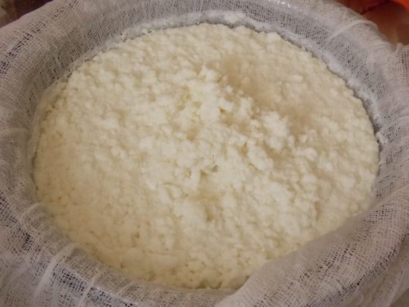 Домашний сыр: простой и быстрый рецепт 8 Домашний сыр: простой и быстрый рецепт