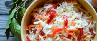 Маринованная капуста: самый вкусный салат из капусты 1
