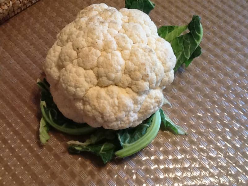 Котлеты из цветной капусты: очень нежные, сочные, вкусные, с хрустящей аппетитной корочкой 8 Котлеты из цветной капусты