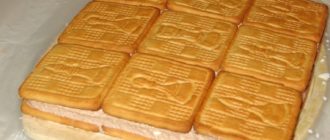 Сладкая Лазанья с творогом – красивый, простой и вкусный рецепт 23