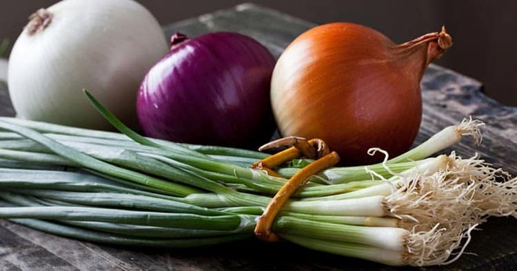 Великолепные лепешки с фаршем и тыквой – простой и вкусный рецепт 8 Великолепные лепешки с фаршем и тыквой – простой и вкусный рецепт