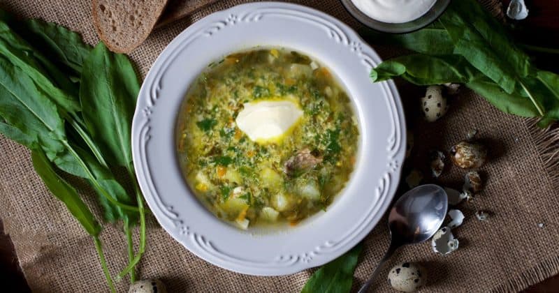Борщ с щавелем и яйцом: вкусное и сытное блюдо из свежей зелени 5 Борщ с щавелем и яйцом