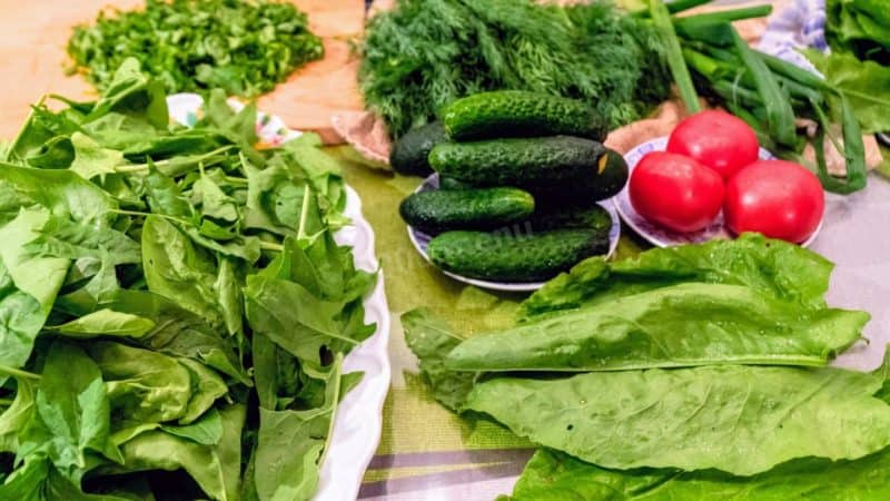Салат из свежего щавеля: почувствуйте аромат и вкус лета в своей тарелке 7 Салат из свежего щавеля
