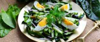 Салат из свежего щавеля: почувствуйте аромат и вкус лета в своей тарелке 15
