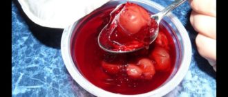 Вишнёвое желе: вкусный, полезный и лёгкий летний десерт 4