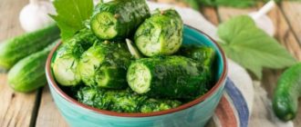 Малосольные огурцы с укропом и чесноком: хрустящие ароматные огурчики на закуску 1