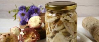 Маринованные сыроежки: универсальная грибная закуска для любого повода 10