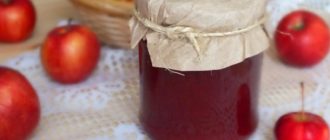 Повидло из ранеток: очень ароматное и вкусное повидло 11