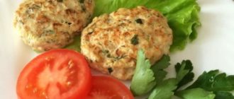 Котлеты из куриного фарша с кабачками: диетические котлеты для здорового меню 14