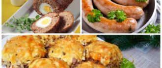 Блюда из фарша: 10 потрясающе вкусных блюд из мясного фарша 13