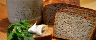 Вечная закваска для бездрожжевого теста. Плюс рецепт вкусного хлеба 11