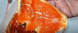 Рецепт малосольной красной рыбы которым пользуюсь уже 20 лет. Эта закуска съедается за раз 14
