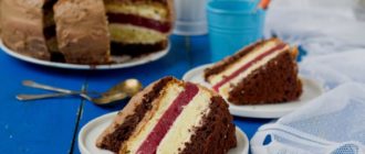 Многослойный торт Мишель. Вкус не чрезмерно сладкий, с небольшой кислинкой 4