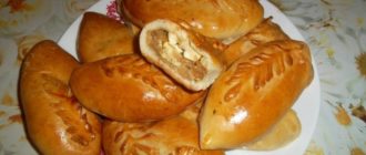 Пирожки Проглотайки. Воздушные пирожки с разнообразной начинкой 3
