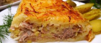 Мясная запеканка с картофельной начинкой. Блюдо, которое особенно понравится мужчинам 14