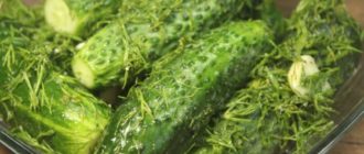 Малосольные огурцы за 1 день. Хрустящая закуска к мясному или рыбному блюду 16