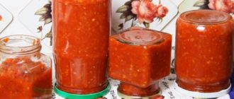 Аджика Одесская. Делюсь секретом приготовления 13