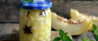 Консервированная дыня. Вкус как у ананасов 7