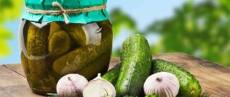 Огурцы Злодейские. Хрустящие, упругие и пикантные 1