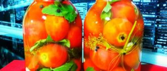 Помидоры прямым посолом. Самые вкусные бочковые овощи 20