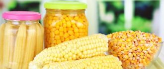Маринованная кукуруза в початках на зиму. Обалденная закуска 6
