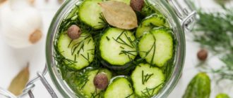 Огурцы по-польски. Хрустящие и нежные овощи, которые исчезнут до весны 6