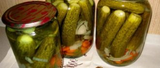 Огурчики по-болгарски на зиму. Самый удачный рецепт 3