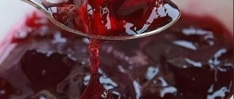 Вишня в желе: консервированная ягода остаётся свежей круглый год 16