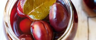 Ароматные маринованные сливы на зиму. Закуска на все случаи 22